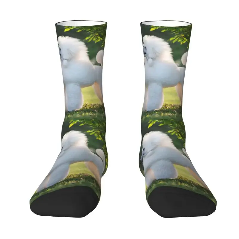 Модные мужские носки с рисунком пуделя и собаки, дышащие теплые носки для экипажа с 3D-печатью с животным рисунком